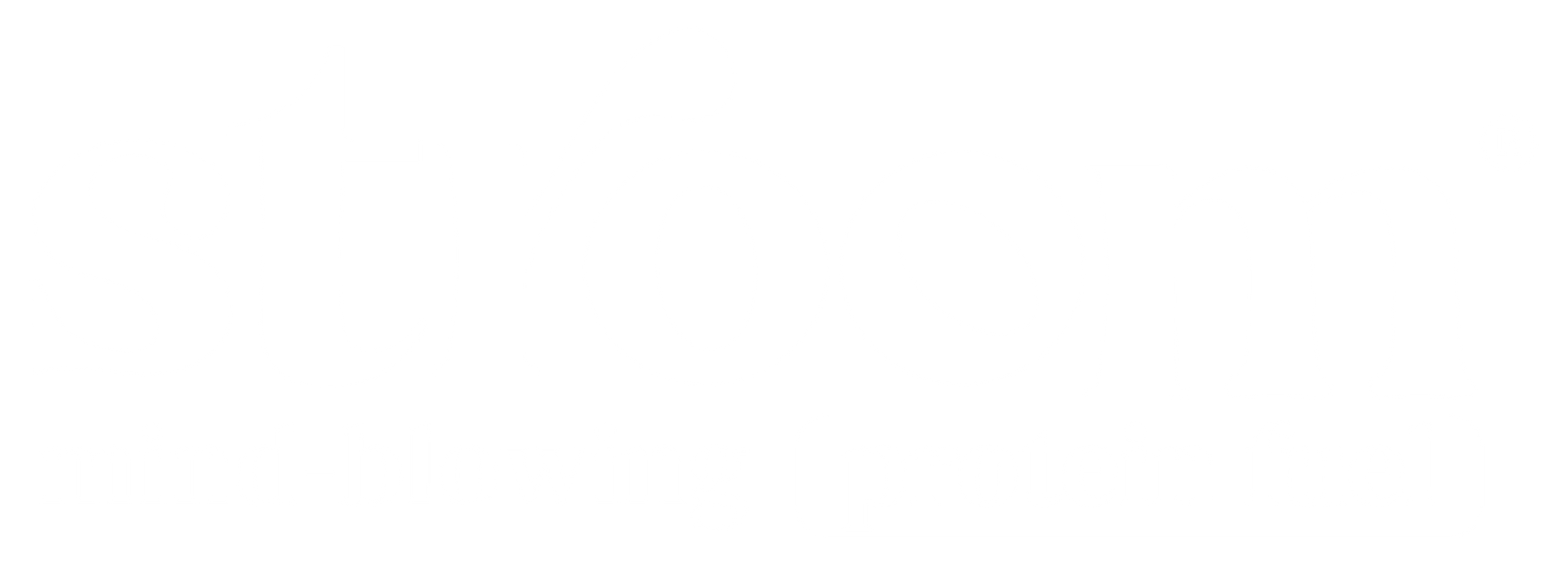 Stroom logo